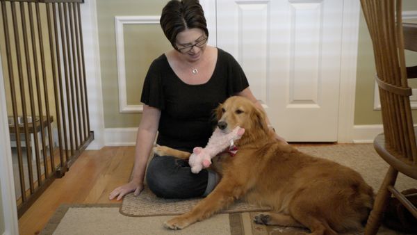 To The Rescue - A Rescue's Journey