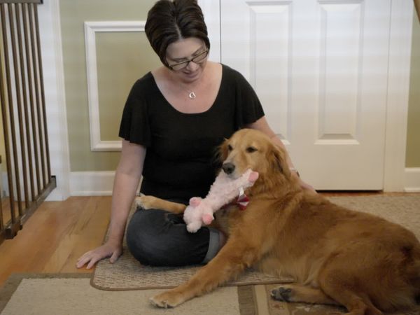 To The Rescue - A Rescue's Journey
