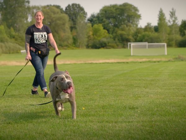 To The Rescue - Limits Unleashed