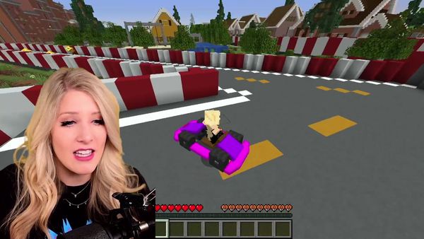 BriannaPlayz - So I Adopted Unspeakable in Minecraft / I Found a Doctor Only Server in Minecraft!