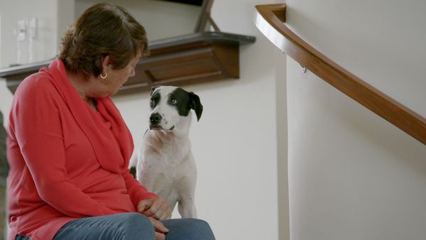 To The Rescue - Diamond In The Ruff