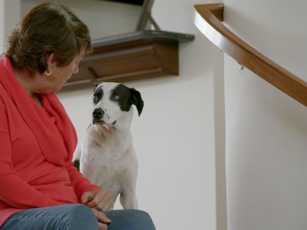 To The Rescue - Diamond In The Ruff