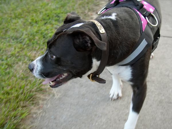 To The Rescue - Who Rescued Who?