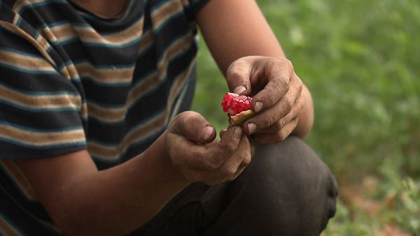 Genuss Weltweit - Armenien, die Früchte aus dem Paradies
