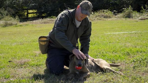 To The Rescue - Man's Best Friend