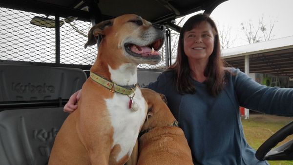 To The Rescue - Hope And Healing