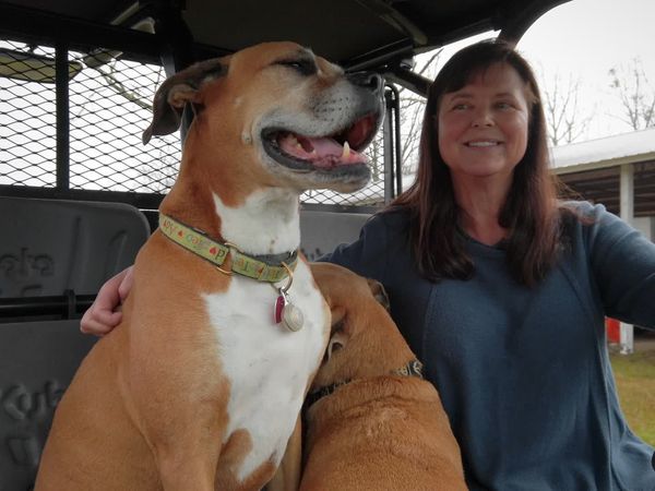 To The Rescue - Hope And Healing