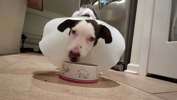 To The Rescue - We Need A Hero