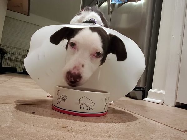 To The Rescue - We Need A Hero