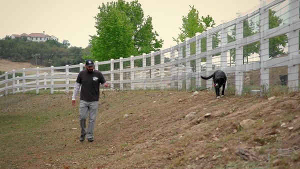 To The Rescue - Live To Serve