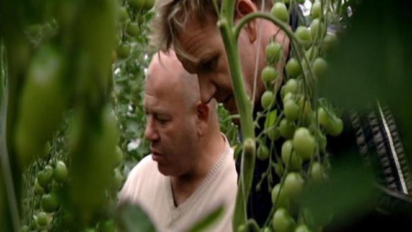 Ramsay’s Kitchen Nightmares (UK) - Fish and Anchor