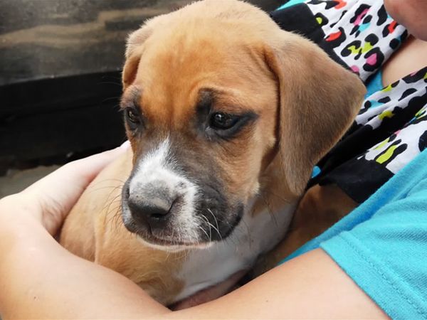 To The Rescue - Without Borders