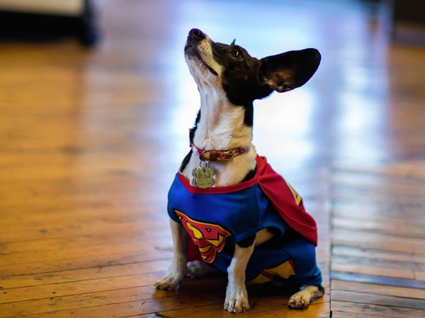 To The Rescue - Swept Up In Rescue