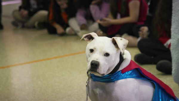 To The Rescue - Saving Lives