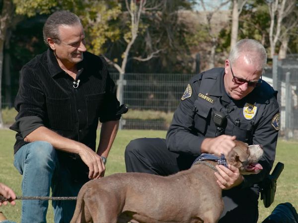 To The Rescue - SPCA Los Angeles