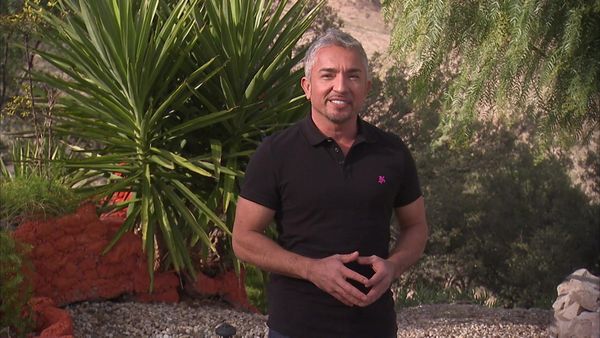 Dog Whisperer with Cesar Millan - Battle of Britain