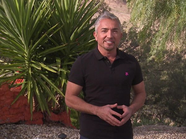 Dog Whisperer with Cesar Millan - Battle of Britain