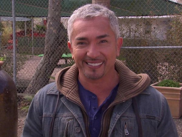 Dog Whisperer with Cesar Millan - Playboy Playmates