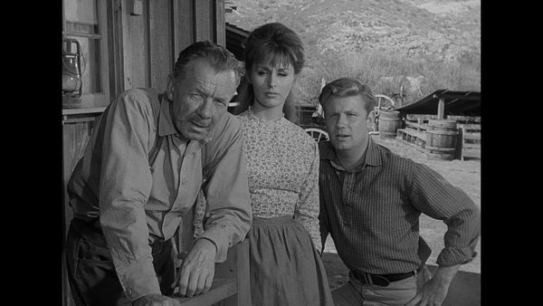 Gunsmoke - Pa Hack's Brood