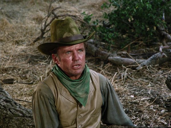 Gunsmoke - Larkin