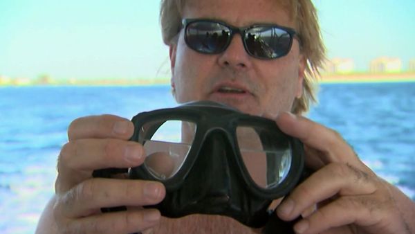 Savage Wild - Sharks of the Gulf Stream