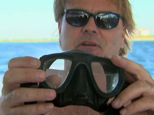 Savage Wild - Sharks of the Gulf Stream