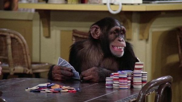 Mork & Mindy - Mork, The Monkey's Uncle