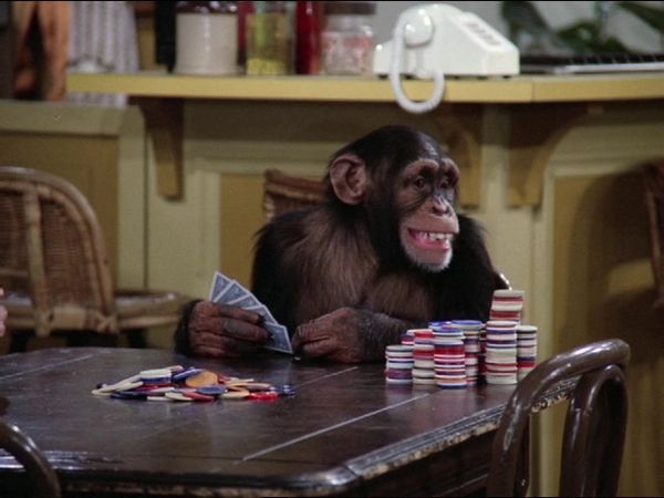 Mork & Mindy - Mork, The Monkey's Uncle