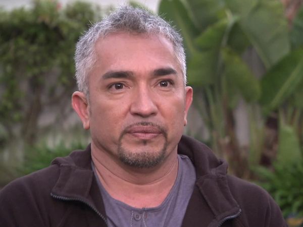 Dog Whisperer with Cesar Millan - Mascot Mayhem