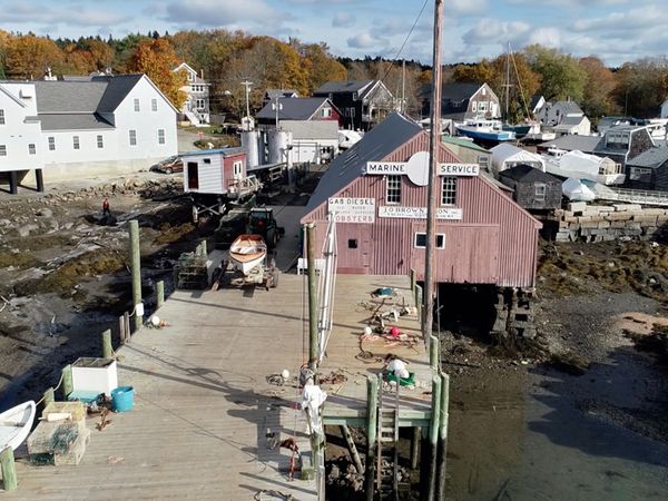 Chacun son Île - Îles Fox
