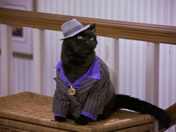 Sabrina The Teenage Witch - Une partie folle, folle, folle