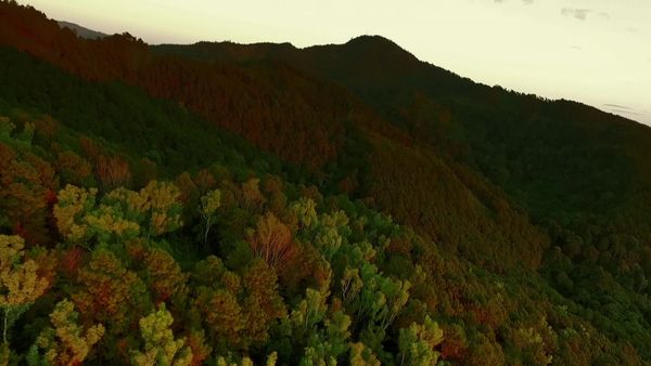 Wild Thailand - Episode 3