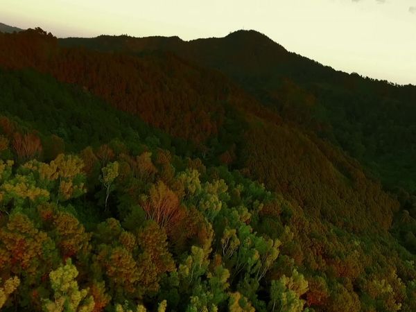 Wild Thailand - Episode 3