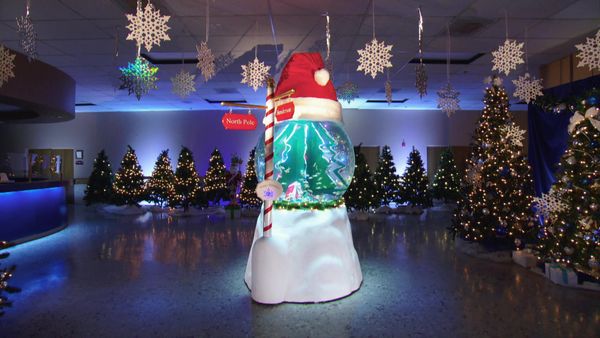 Tanked - Tanked for the holidays