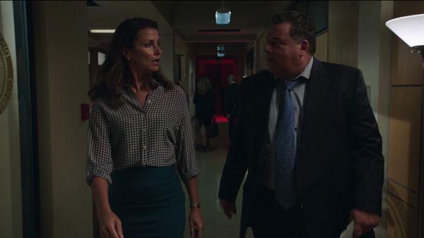 Blue Bloods, en español - Otra mirada