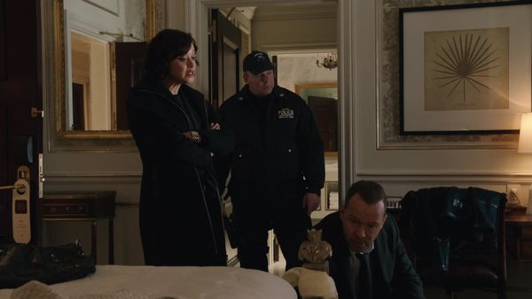 Blue Bloods (en español) - Intereses personales
