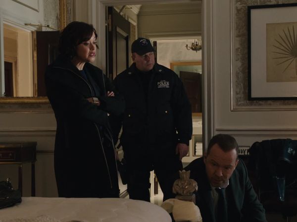 Blue Bloods (en español) - Intereses personales