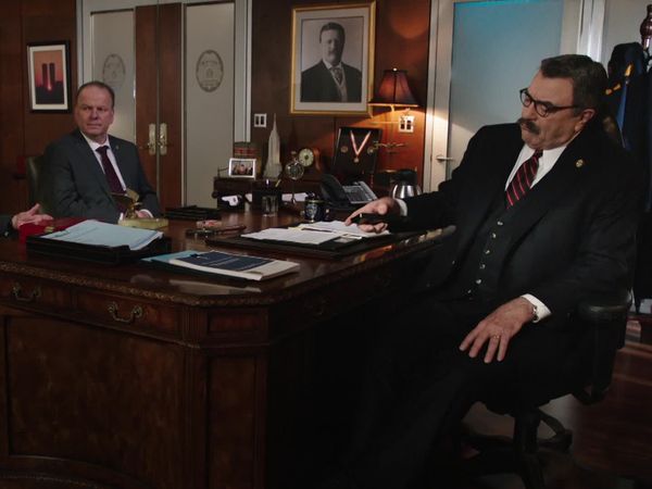 Blue Bloods, en español - El palacio del enigma