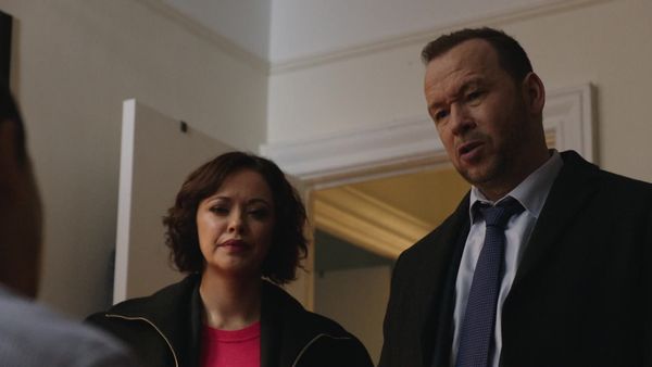 Blue Bloods, en español - Secretos de familia