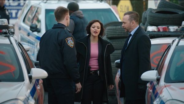 Blue Bloods, en español - Los primeros 100 días