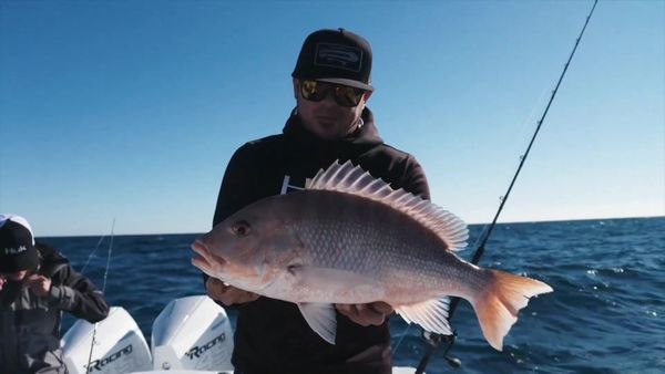 Goliath Fishing - Mahi Madness