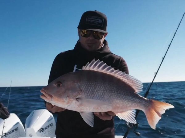 Goliath Fishing - Mahi Madness