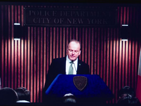Blue Bloods (en español) - Figuras de autoridad