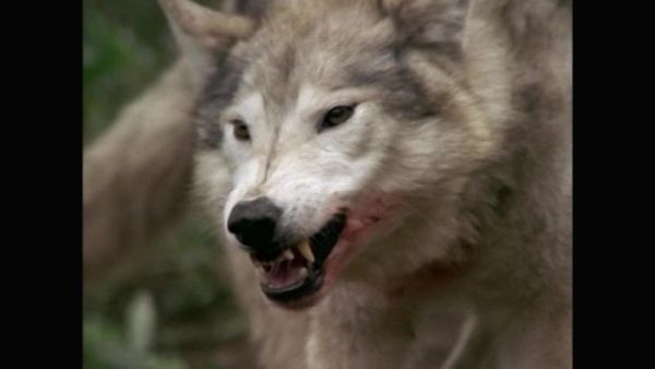 Beyond Belief: Fact or Fiction - Episode 3