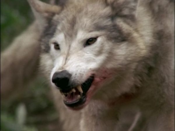 Beyond Belief: Fact or Fiction - Episode 3