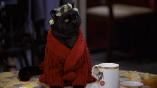Sabrina The Teenage Witch - L'amour toujours