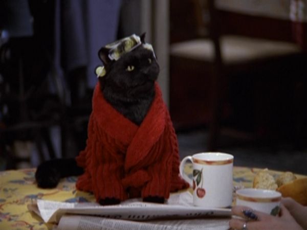 Sabrina The Teenage Witch - L'amour toujours