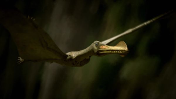Deadly Dinosaurs - Kings of the Sky