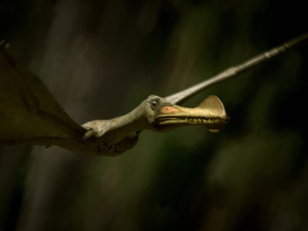 Deadly Dinosaurs - Kings of the Sky