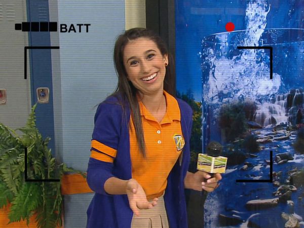 Every Witch Way - O Cristal de Caballero